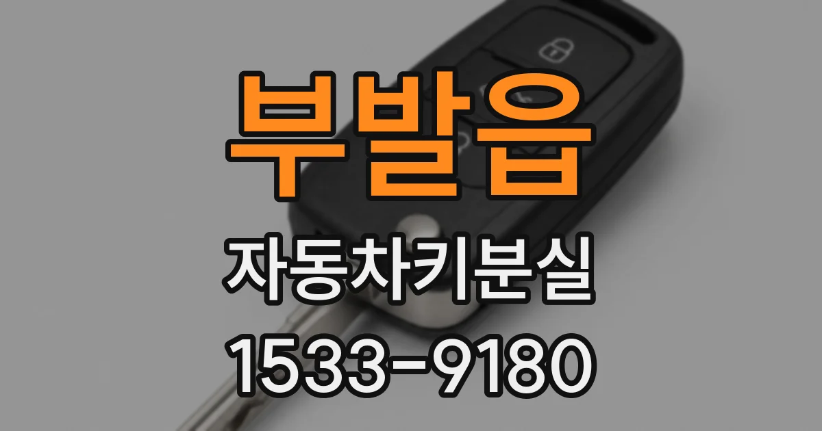 부발읍 자동차키분실