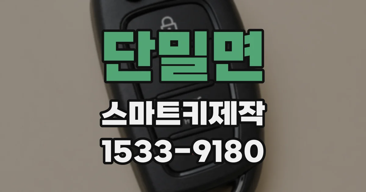 단밀면 스마트키제작