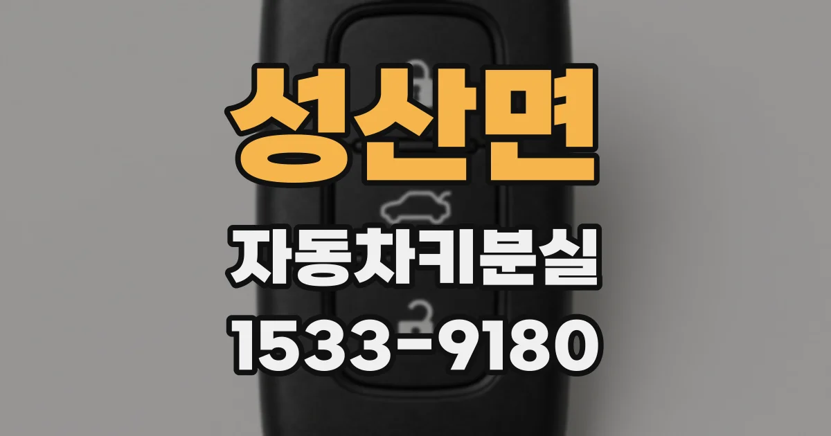 성산면 자동차키분실