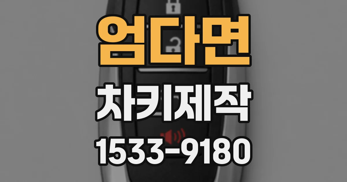엄다면 차키제작