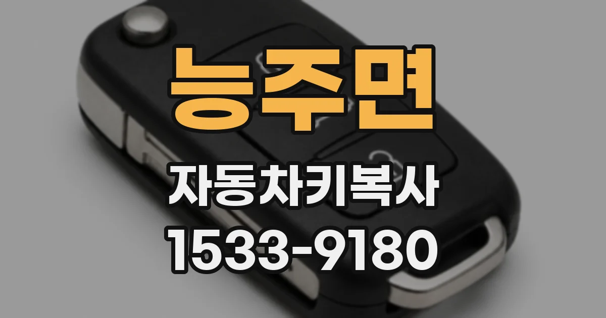 능주면 자동차키복사