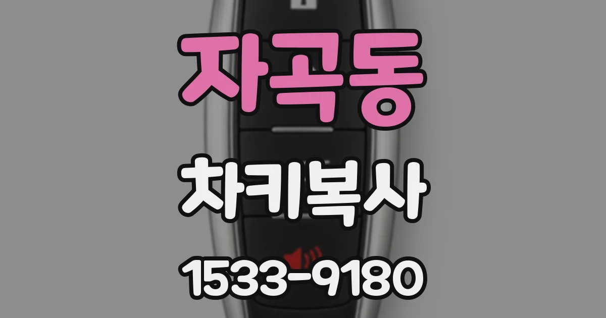 자곡동 차키복사