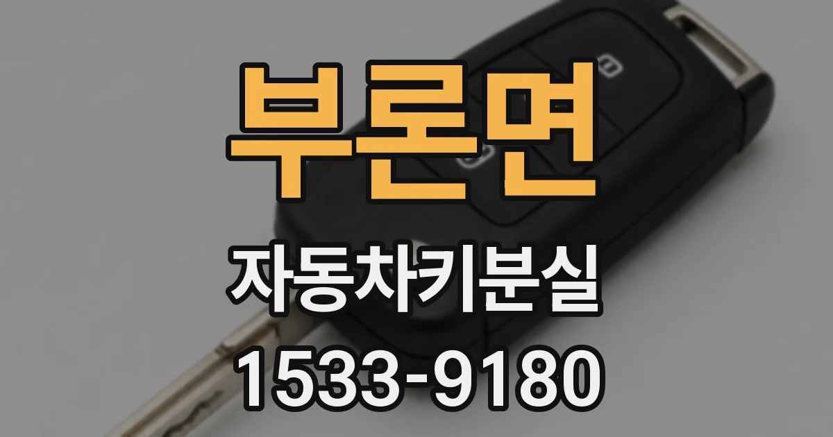 부론면 자동차키분실
