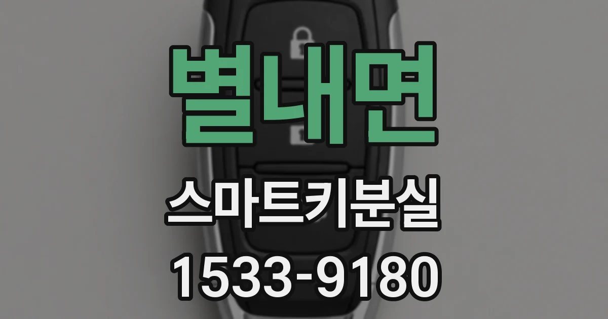별내면 스마트키분실