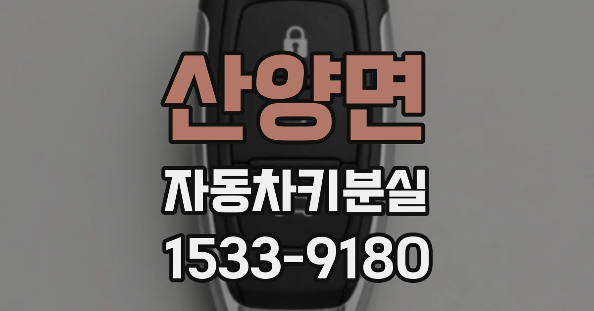 산양면 자동차키분실
