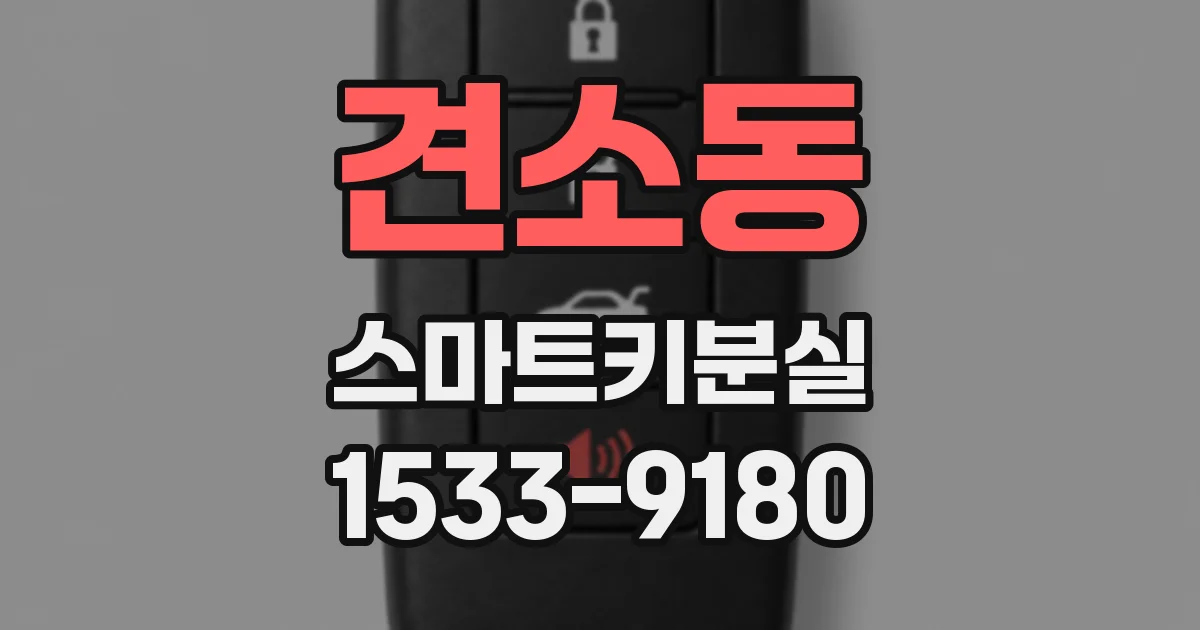 견소동 스마트키분실