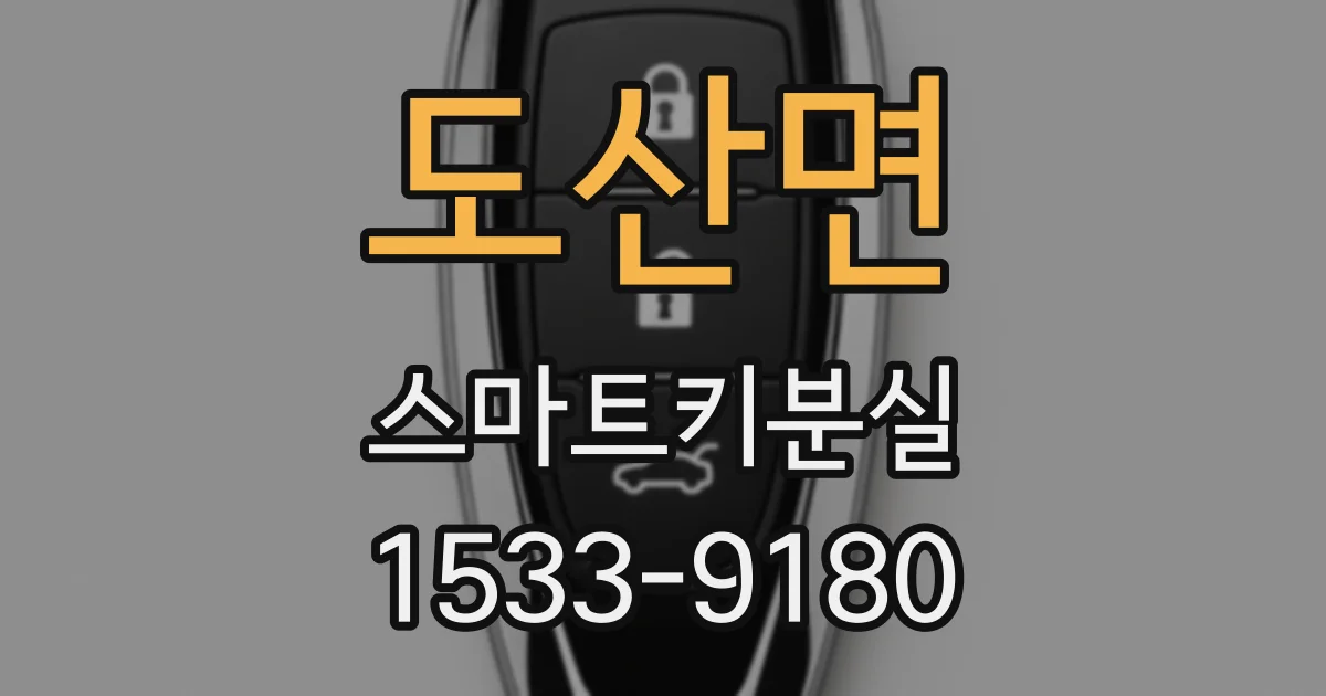 도산면 스마트키분실