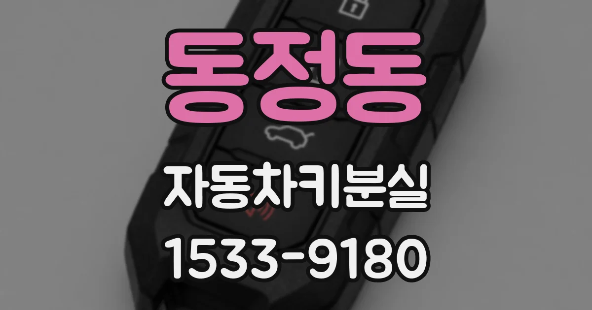 동정동 자동차키분실