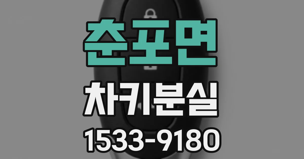 춘포면 차키분실