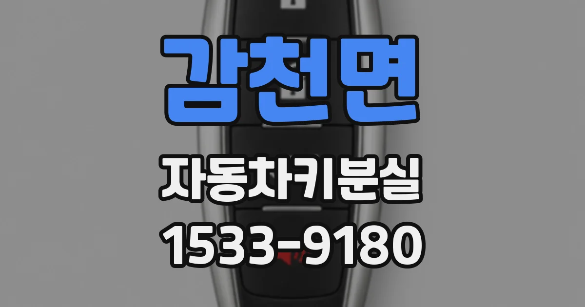 감천면 자동차키분실