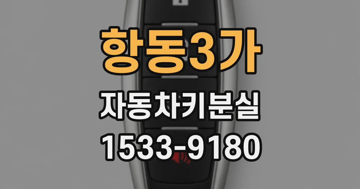 항동3가 자동차키분실
