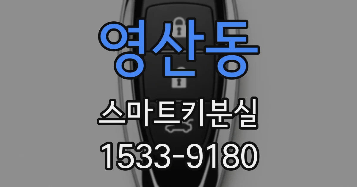 영산동 스마트키분실