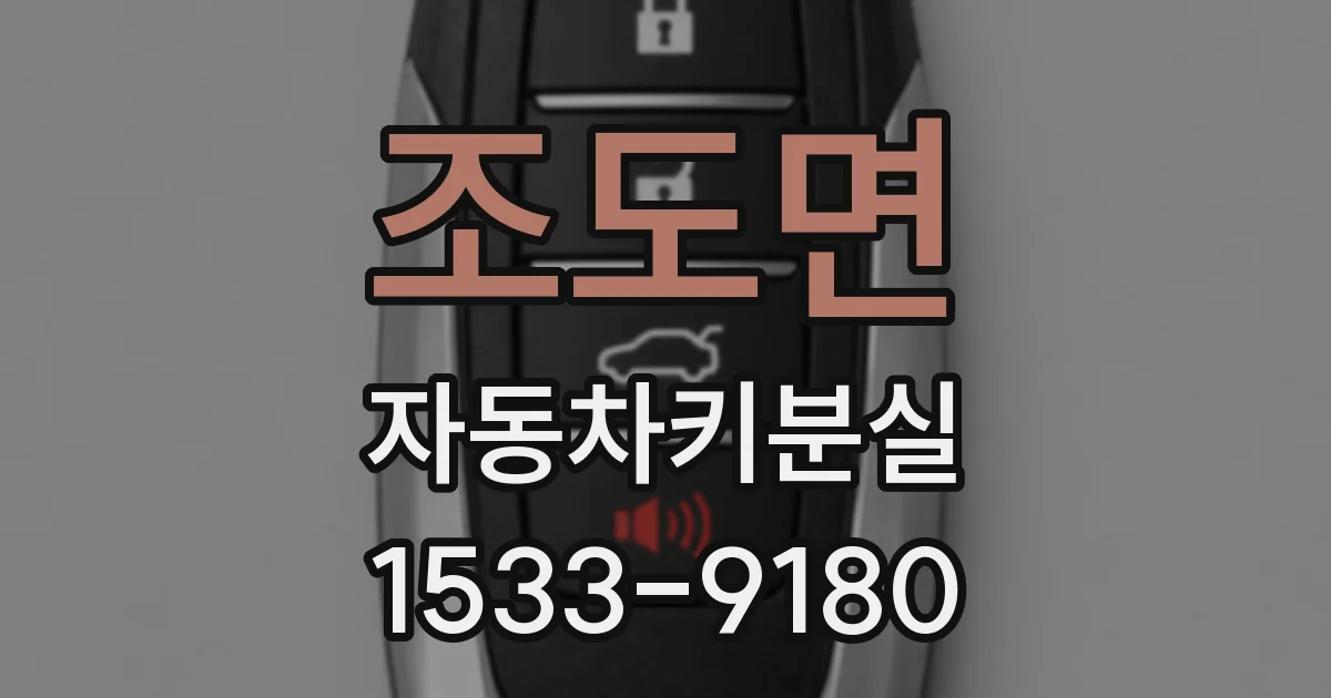 조도면 자동차키분실