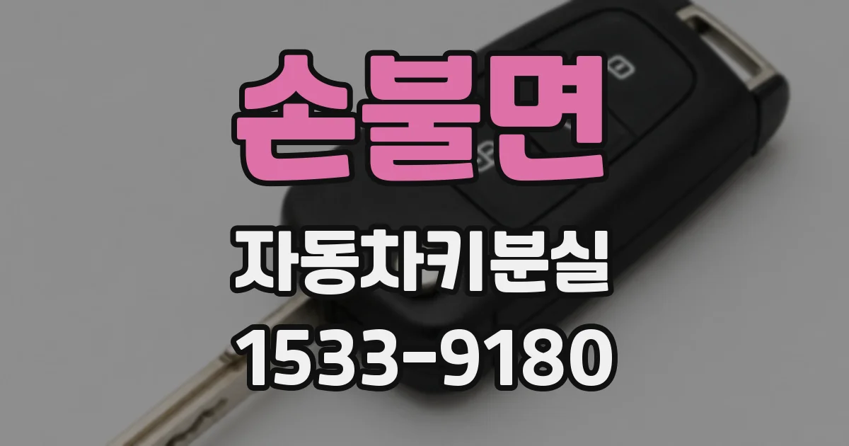 손불면 자동차키분실