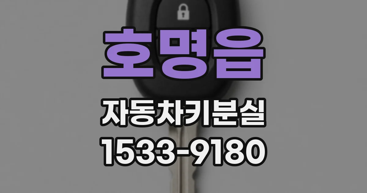 호명읍 자동차키분실