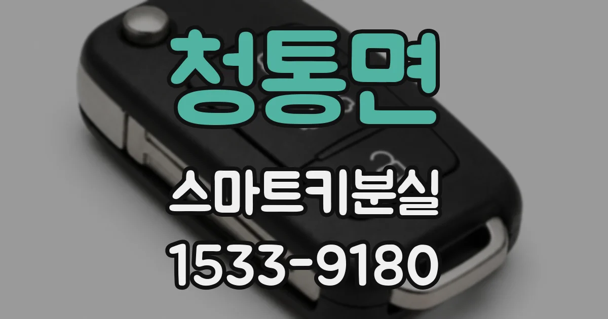 청통면 스마트키분실