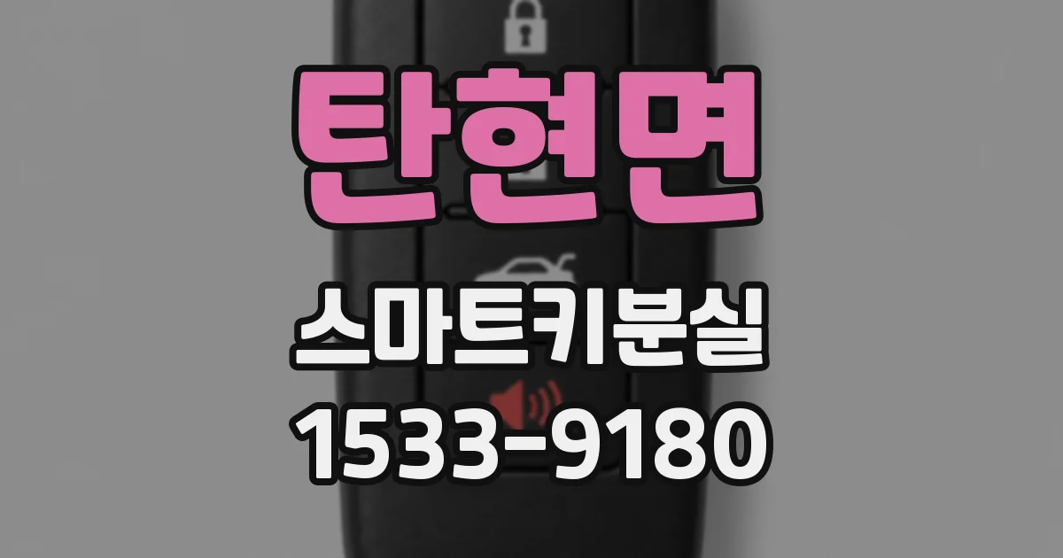 탄현면 스마트키분실