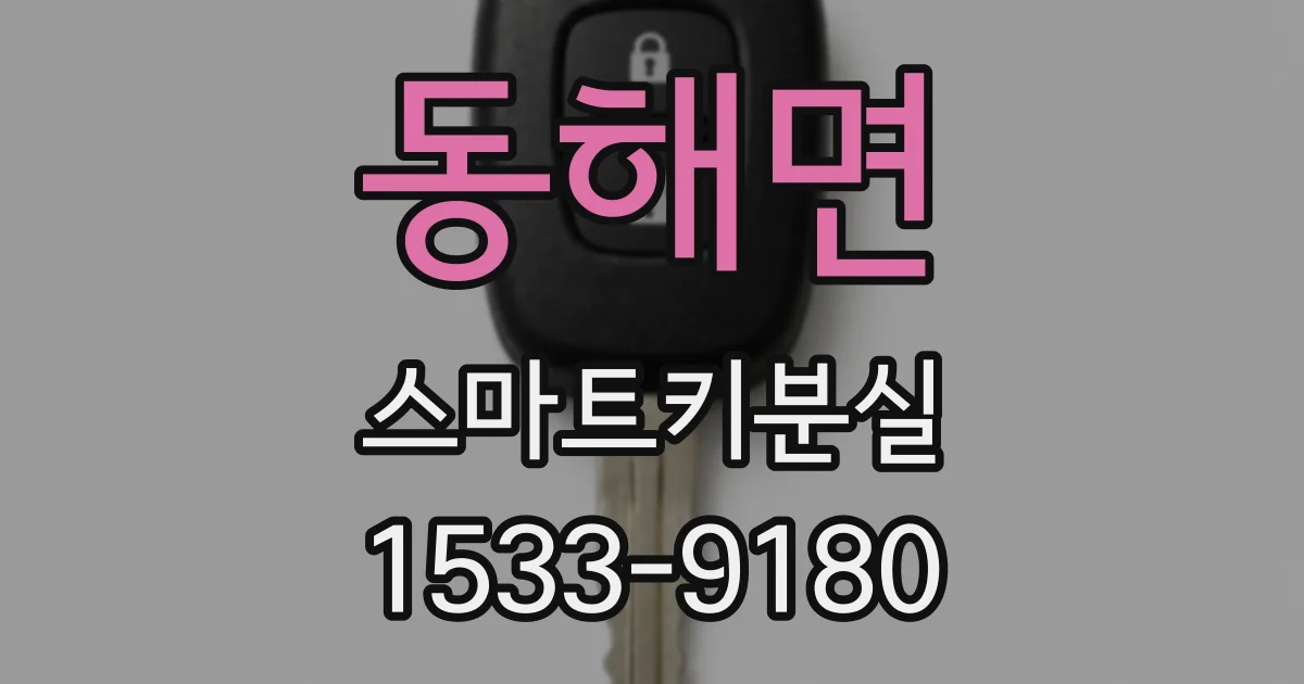 동해면 스마트키분실