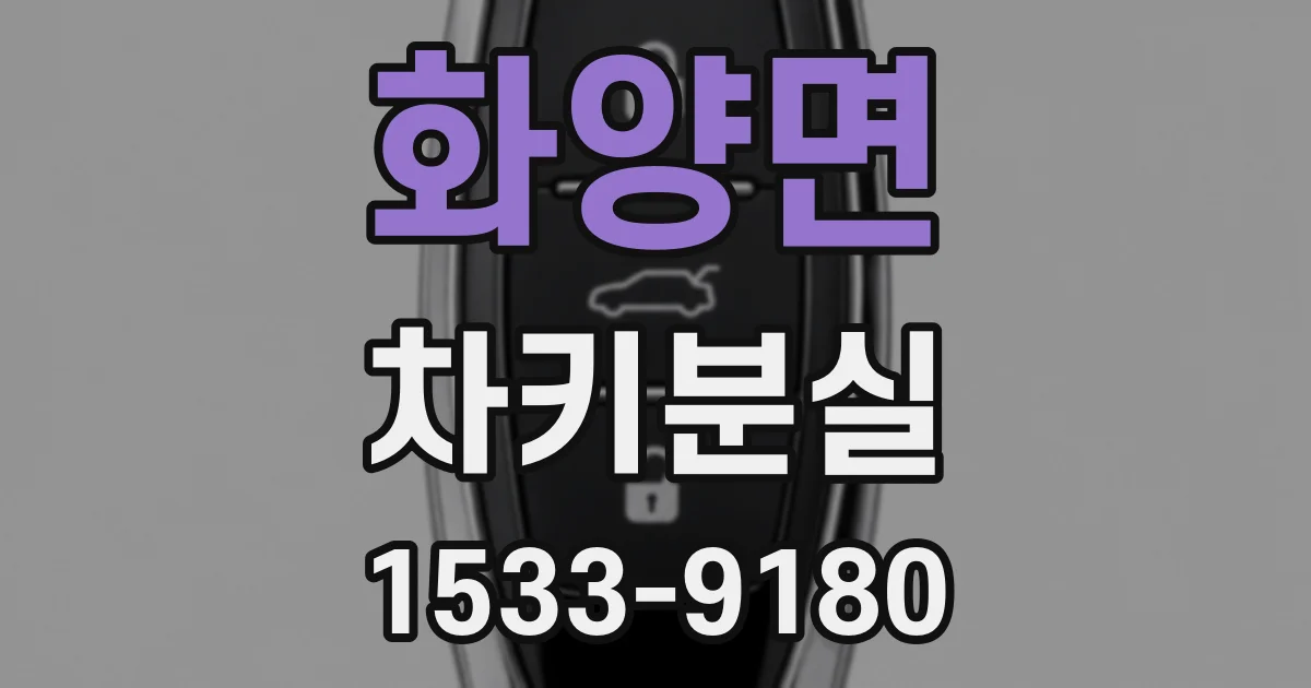 화양면 차키분실