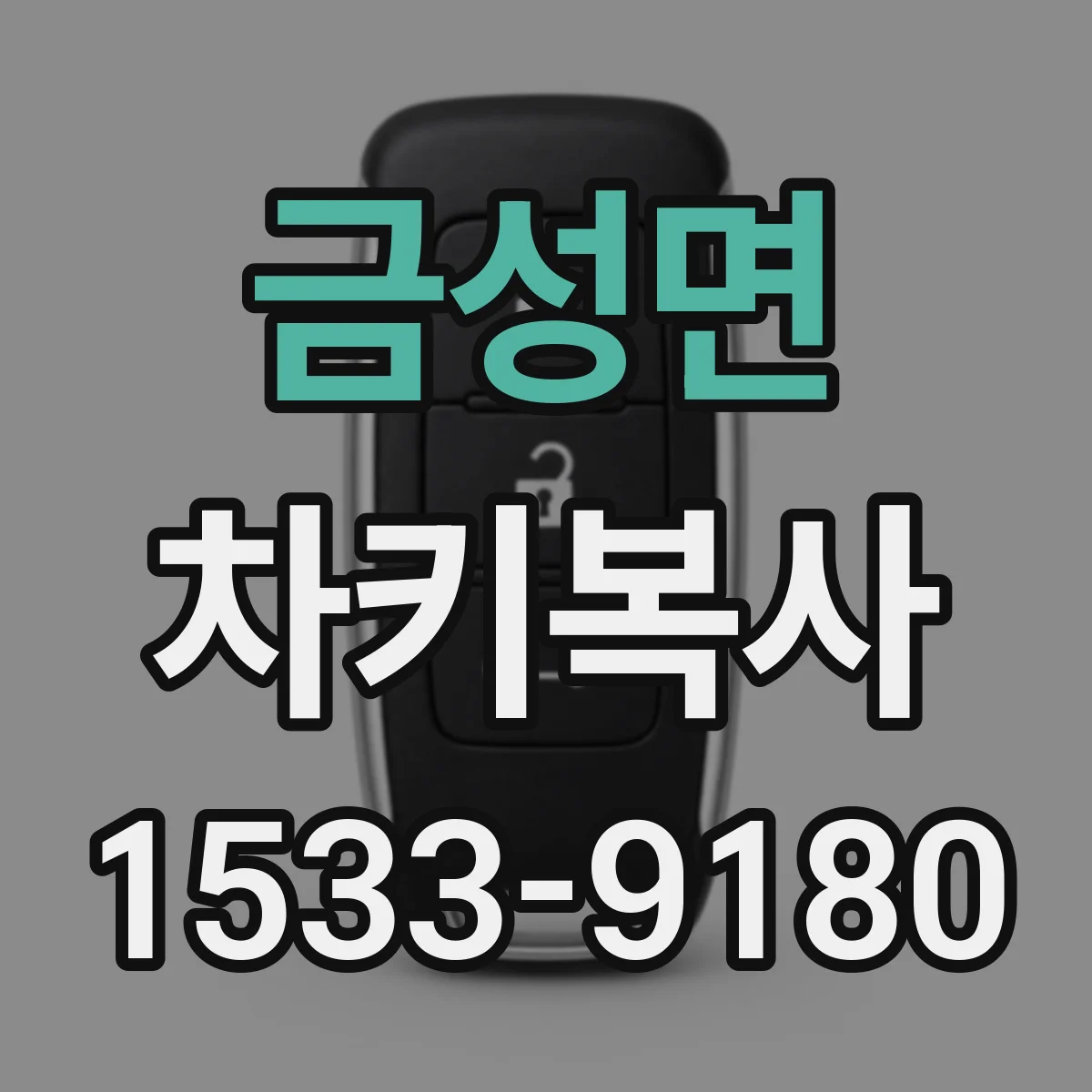 금성면 차키복사
