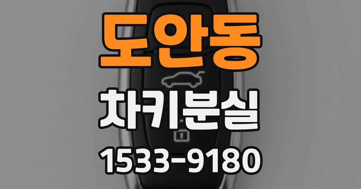 도안동 차키분실