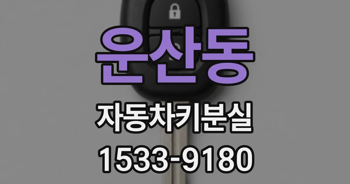 운산동 자동차키분실