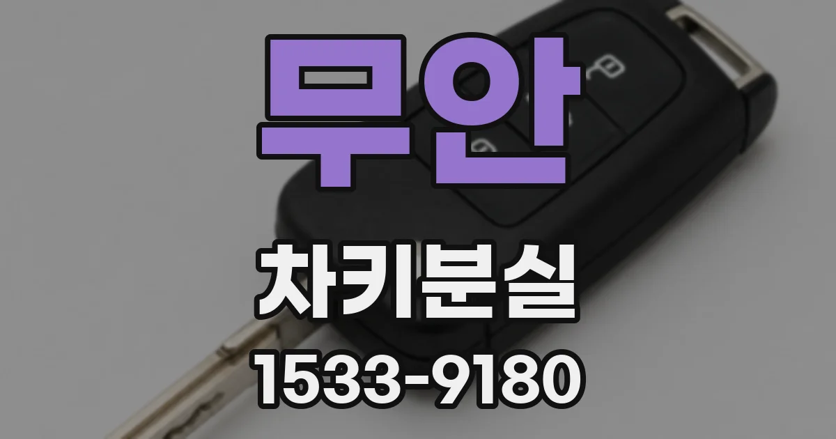 무안 차키분실