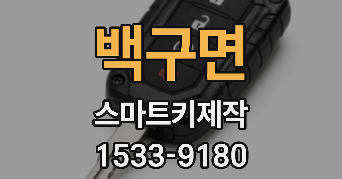 백구면 스마트키제작