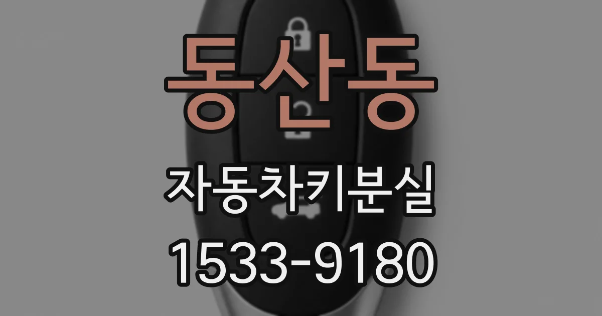 동산동 자동차키분실
