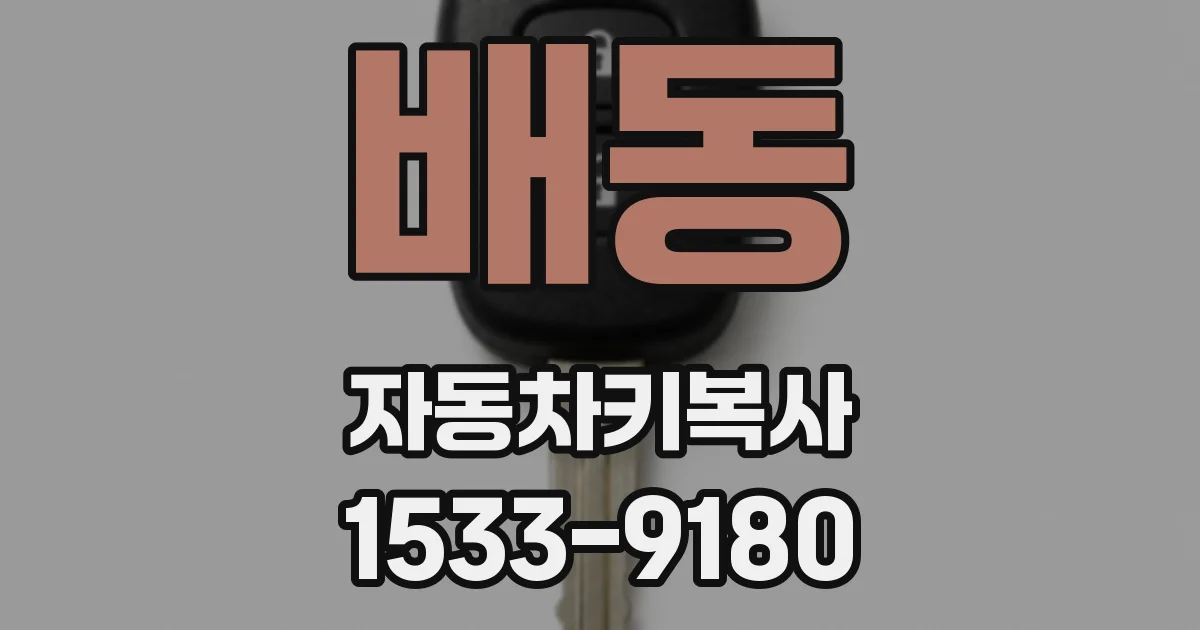 배동 자동차키복사