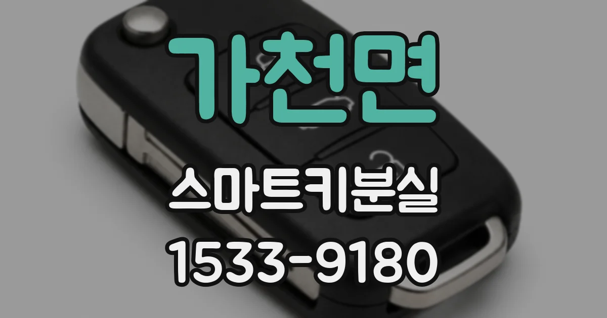 가천면 스마트키분실
