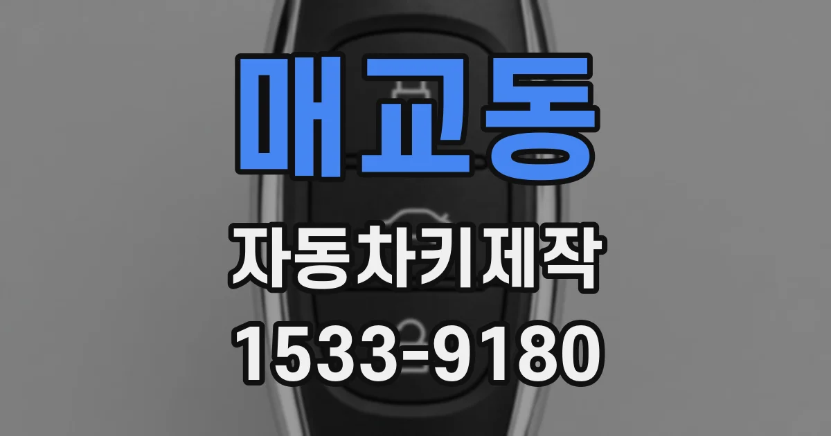 매교동 자동차키제작