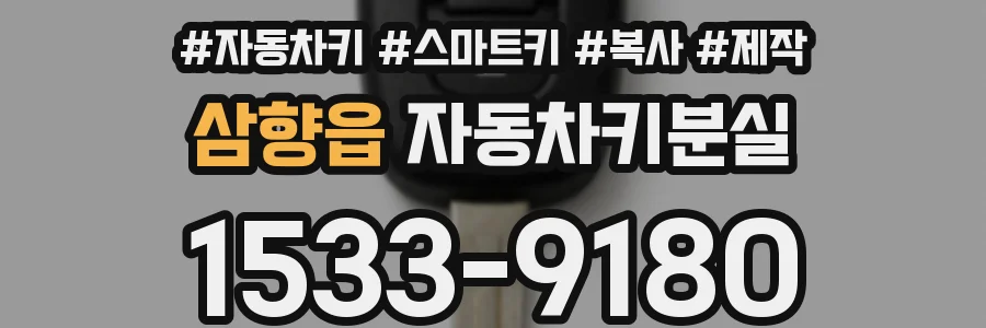 삼향읍 자동차키분실