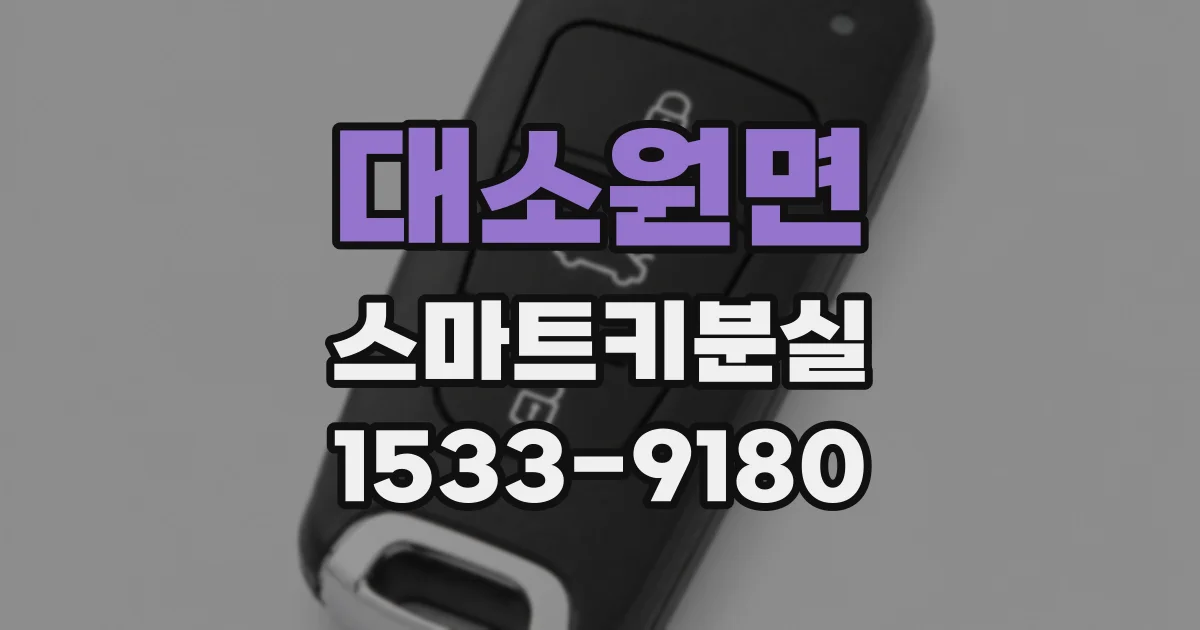 대소원면 스마트키분실