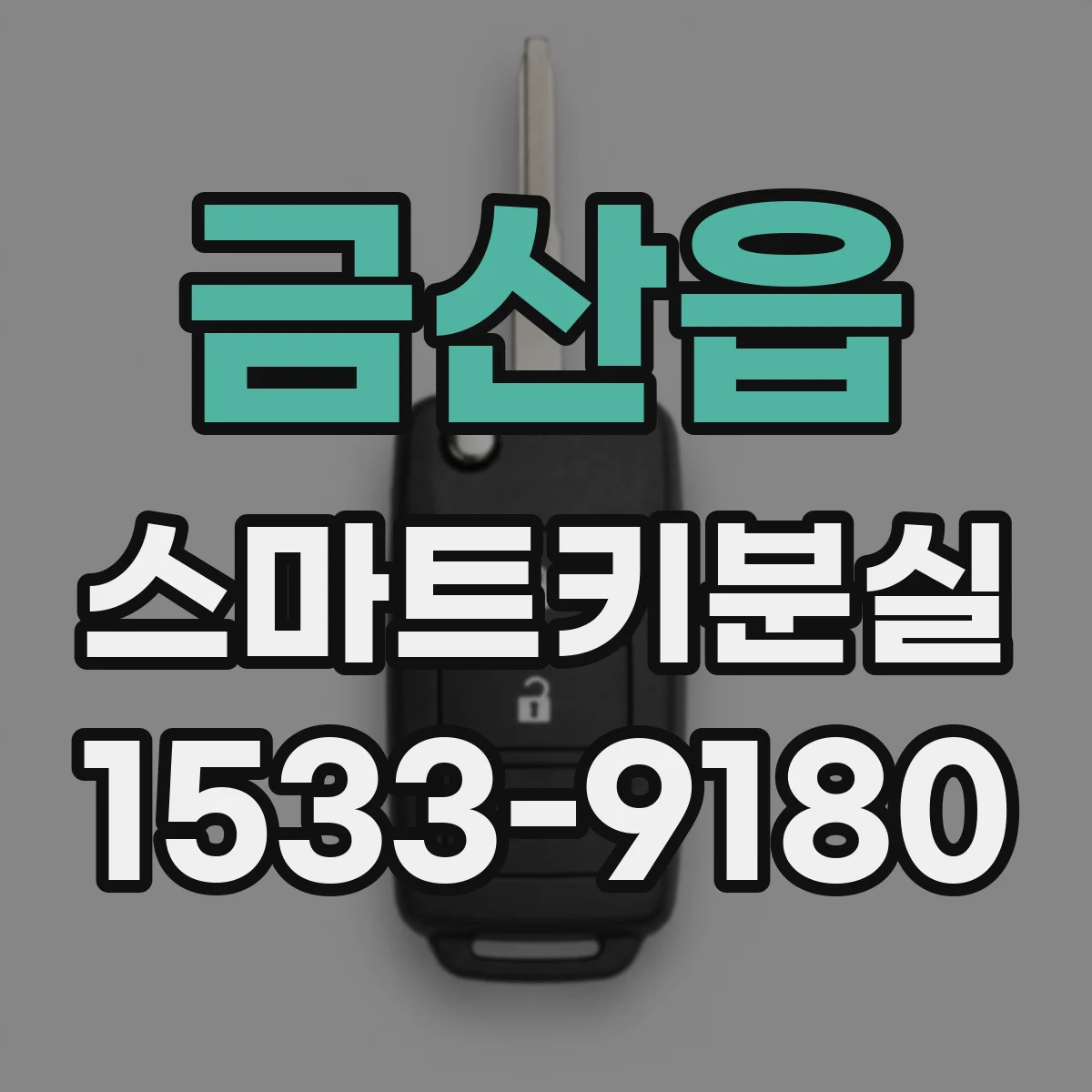금산읍 스마트키분실
