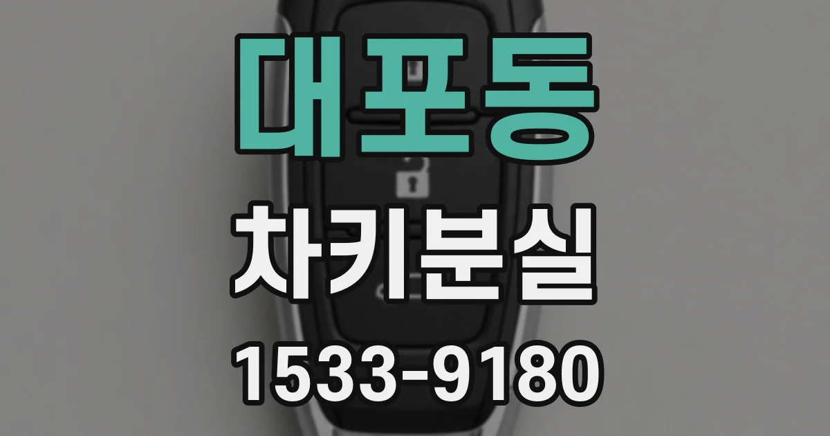 대포동 차키분실