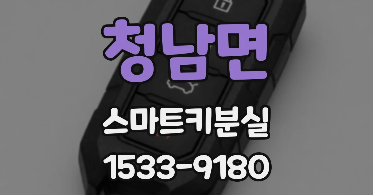 청남면 스마트키분실