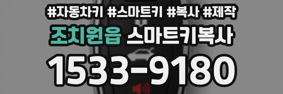 조치원읍 스마트키복사