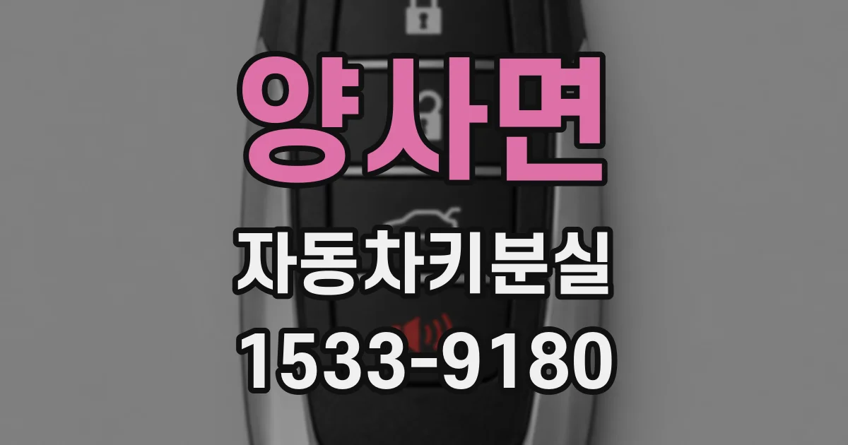 양사면 자동차키분실