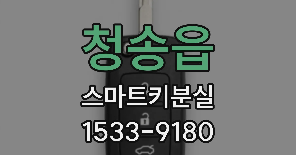 청송읍 스마트키분실