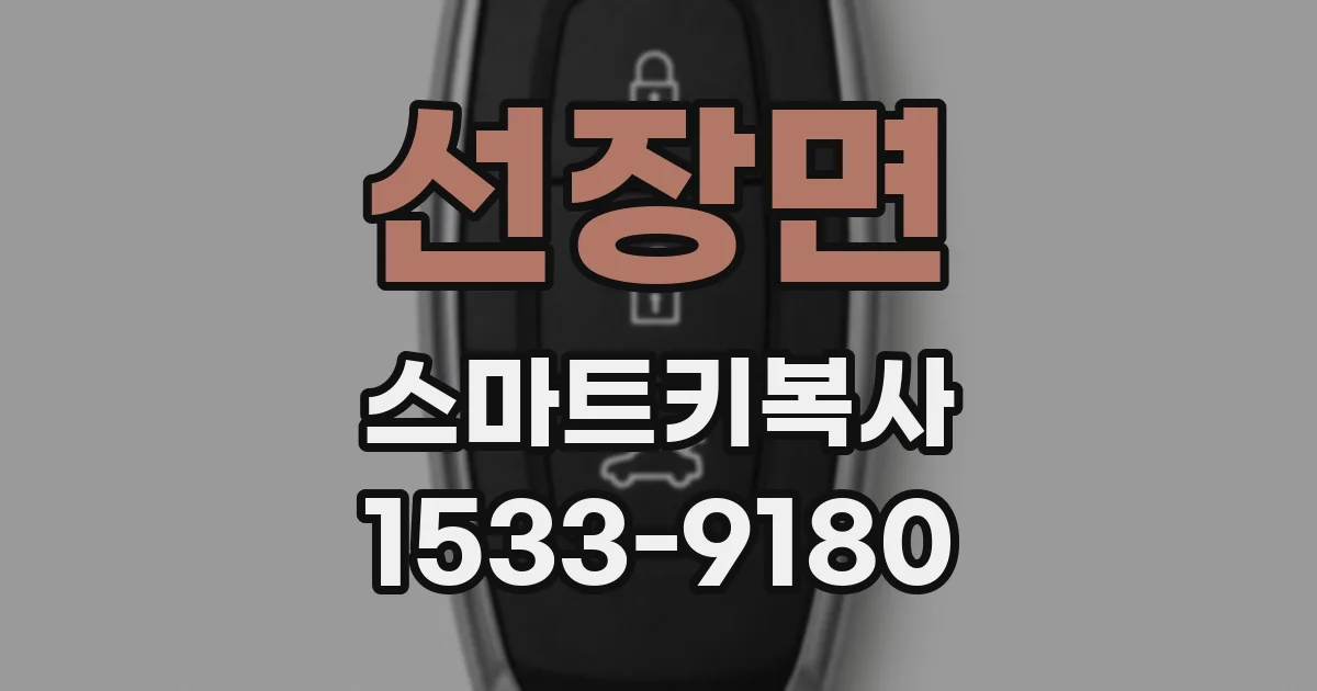 선장면 스마트키복사