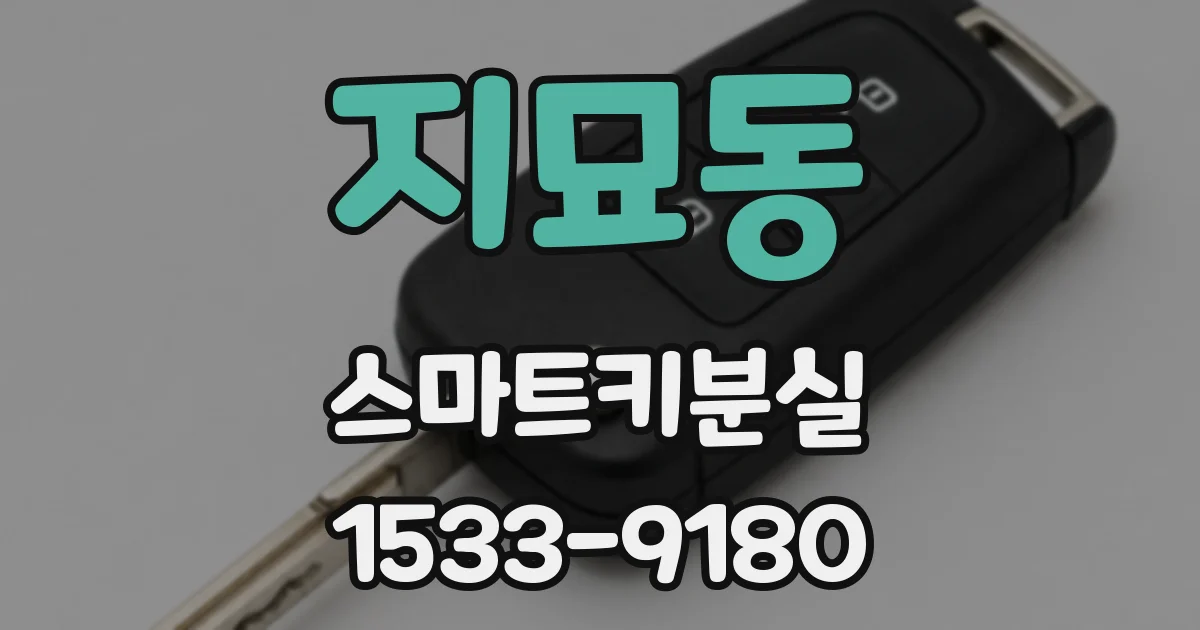 지묘동 스마트키분실