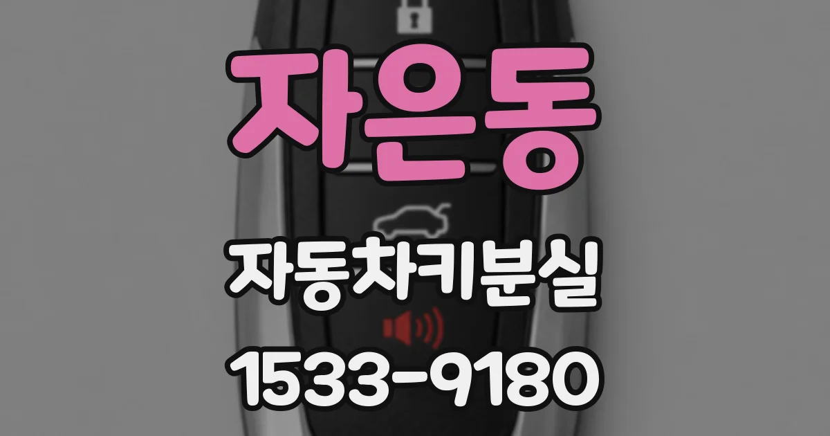 자은동 자동차키분실
