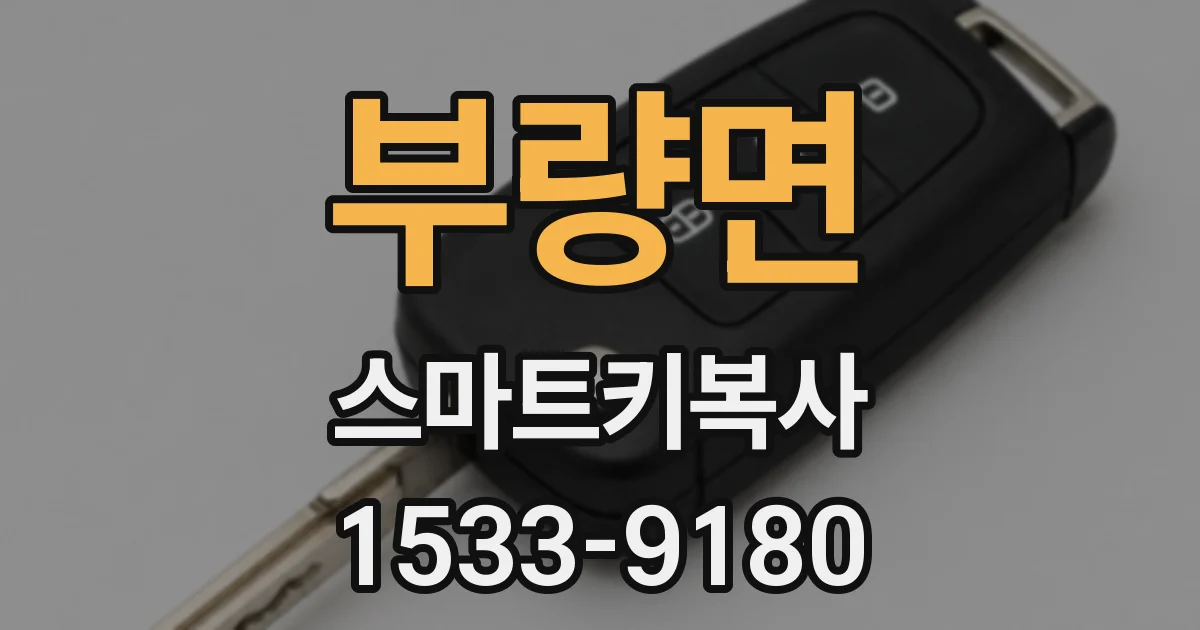 부량면 스마트키복사