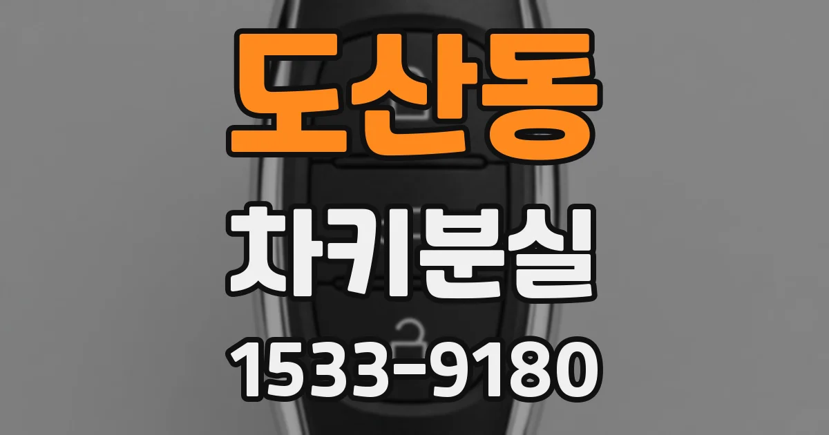 도산동 차키분실