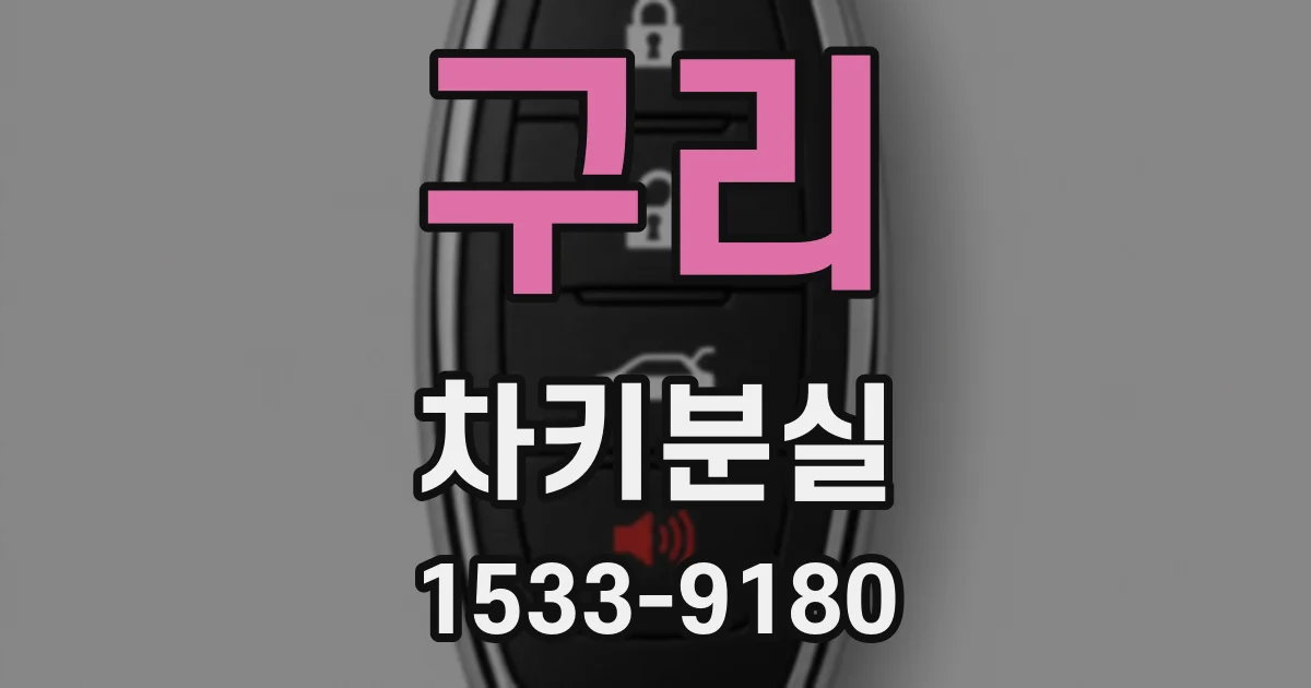 구리 차키분실