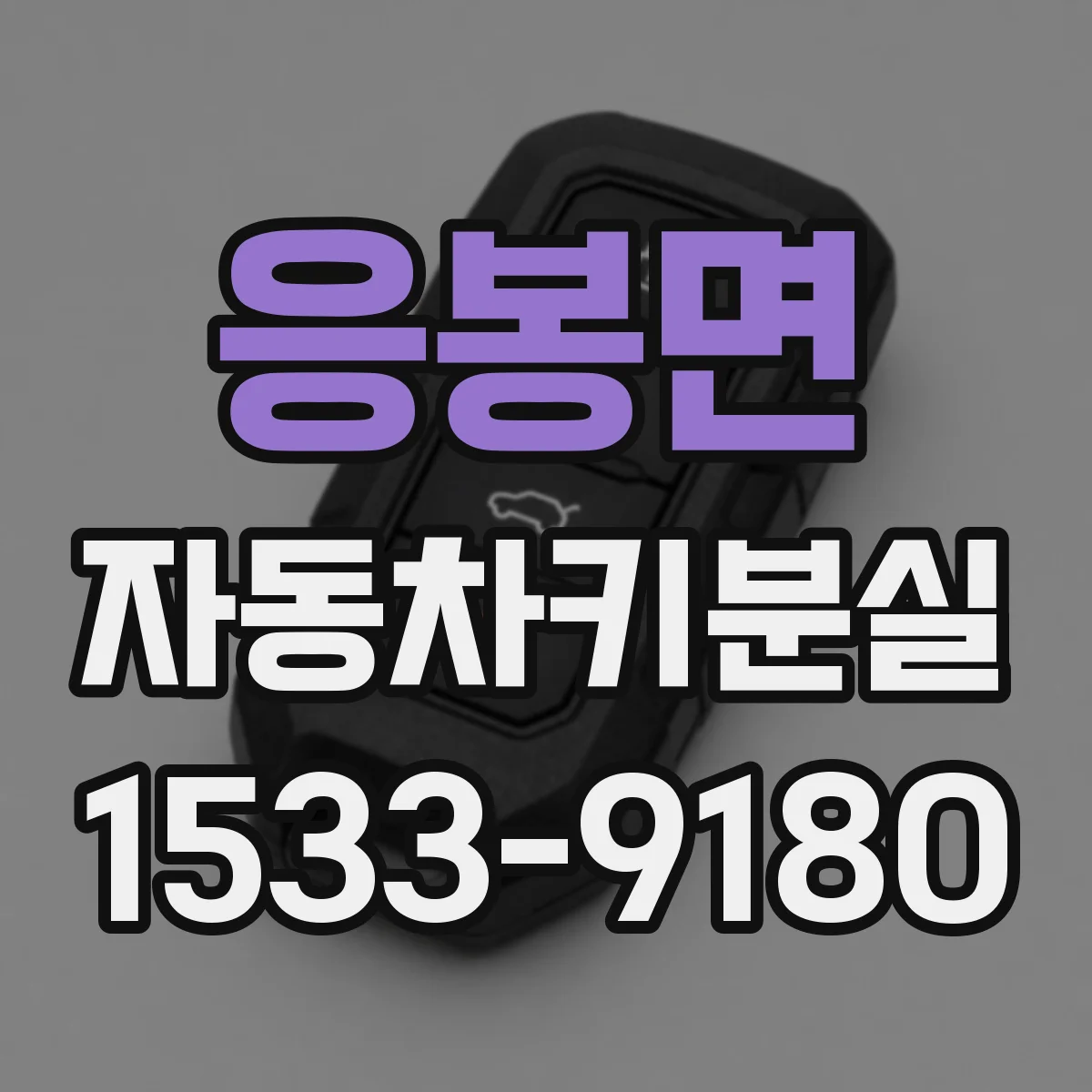 응봉면 자동차키분실