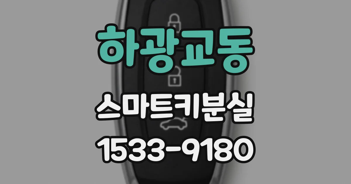 하광교동 스마트키분실