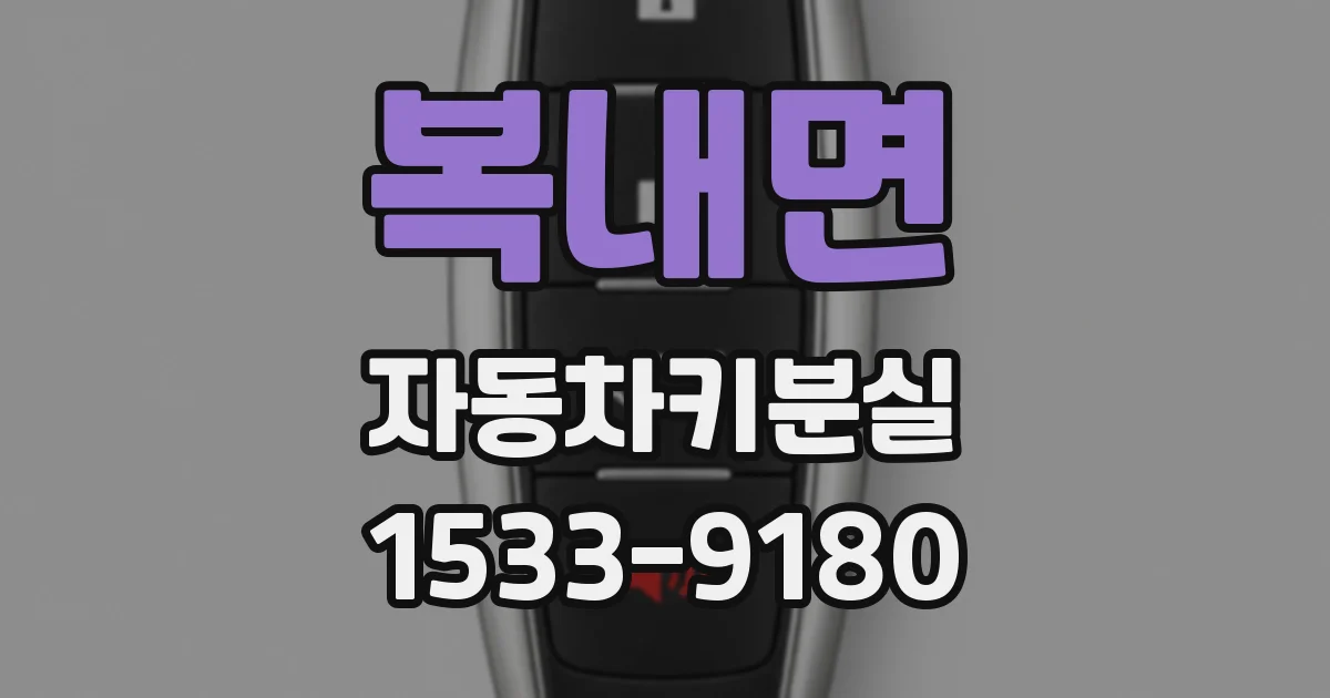 복내면 자동차키분실