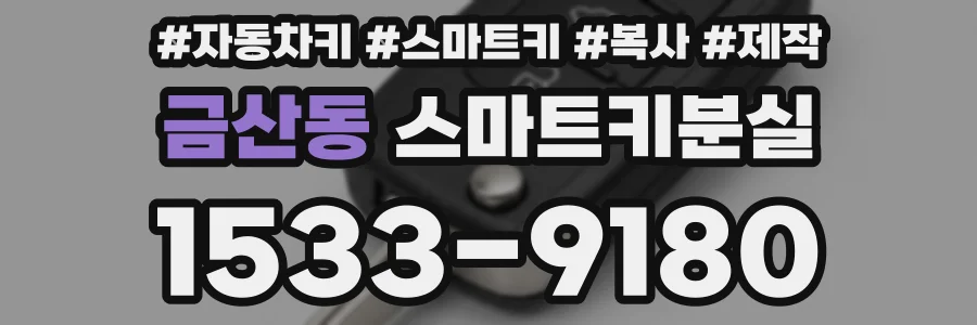 금산동 스마트키분실